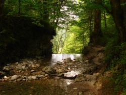 2013-07-20_Regina-F-Rau_Kochel-Rabenkopf (067).JPG